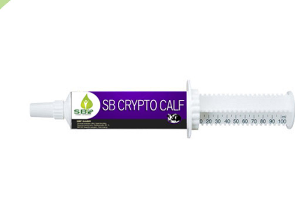 SB Cryptocalf